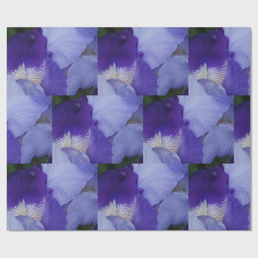 Paarse bloemeniris glanzend inpakpapier (Vlak)