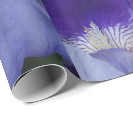 Paarse bloemeniris glanzend inpakpapier (Rol Hoek)