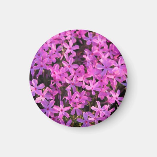 paarse bloemenmagneet magneet (Voorkant)