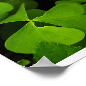 Paarse bloemenposter poster (Hoek)