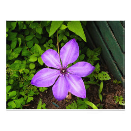 Paarse bloemenprint foto afdruk