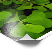 Paarse bloemenprint foto afdruk (Hoek)
