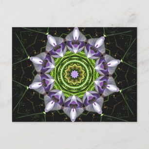 Paarse Bloemige Mandala Kaleidoscoop Kunst Briefkaart