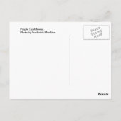 Paarse bloemkool briefkaart (Achterkant)