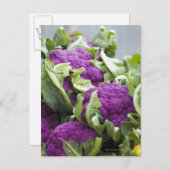 Paarse bloemkool briefkaart (Voorkant / Achterkant)