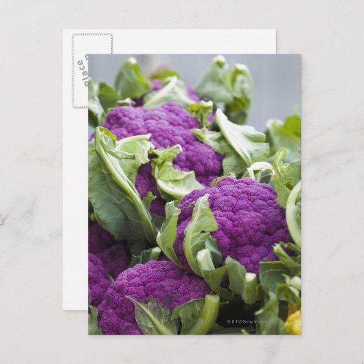 Paarse bloemkool briefkaart (Voorkant / Achterkant)