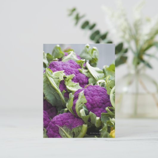Paarse bloemkool briefkaart (Staand voorkant)