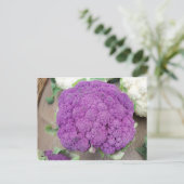 Paarse bloemkool. Foto van Frederick Meekins Briefkaart (Staand voorkant)