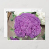 Paarse bloemkool. Foto van Frederick Meekins Briefkaart (Voorkant / Achterkant)
