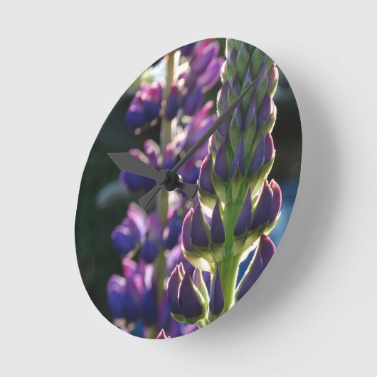 Paarse bloemkurk ronde klok (Hoek)