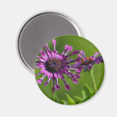 paarse bloemmagneet magneet (Voorkant / Achterkant)