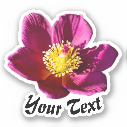Paarse bloempitten voor weidebloemen sticker (Voorkant)