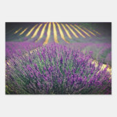 Paarse bloemplaten inpakpapier vel (Voorkant 3)