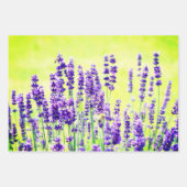 Paarse bloemplaten inpakpapier vel (Voorkant 2)