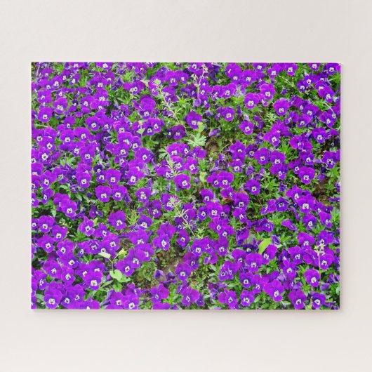 Paarse bloemtuin (*Uitdagend) Legpuzzel (Horizontaal)