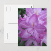 Paarse bloesems briefkaart (Voorkant / Achterkant)
