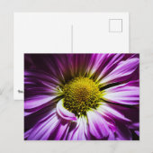 Paarse blokkaart briefkaart (Voorkant / Achterkant)