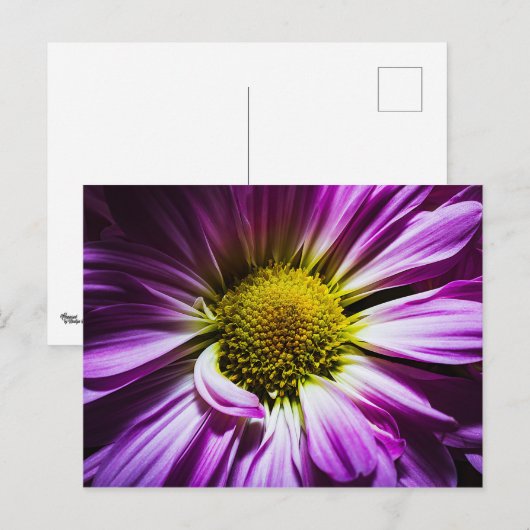 Paarse blokkaart briefkaart (Voorkant / Achterkant)