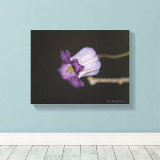 Paarse Bloom Canvas Afdruk (Insitu (Houten vloer))