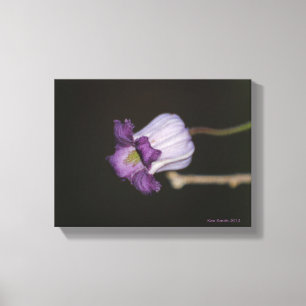 Paarse Bloom Canvas Afdruk