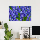 PAARSE BLUE GRAPE-STROMEN NATUUR GRASS BEAUTY-SCHE POSTER (Thuiskantoor)