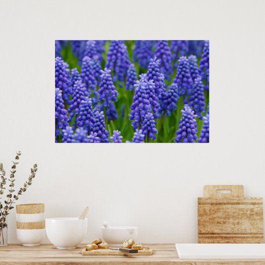 PAARSE BLUE GRAPE-STROMEN NATUUR GRASS BEAUTY-SCHE POSTER (Keuken)