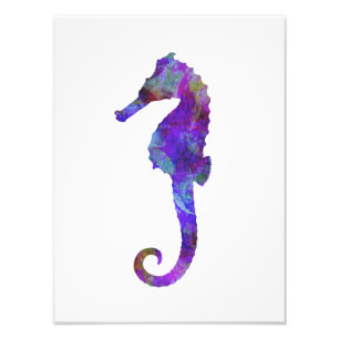 Paarse Blue Seahorse Waterverf Silhouette Vintage Foto Afdruk