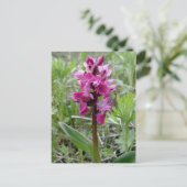Paarse Bog Orchid, Unalaska Island Briefkaart (Staand voorkant)