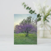 Paarse Bomen Briefkaart (Staand voorkant)