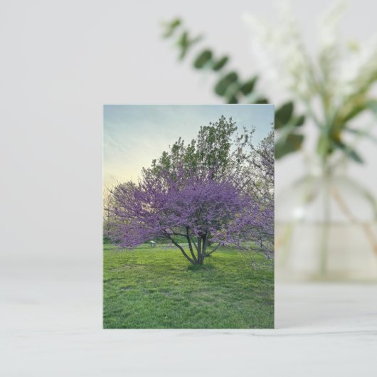 Paarse Bomen Briefkaart (Staand voorkant)