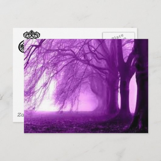 paarse bomen briefkaart (Voorkant / Achterkant)