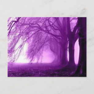 paarse bomen briefkaart