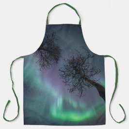 Paarse bomen met noordelijke hoogteliggen schort