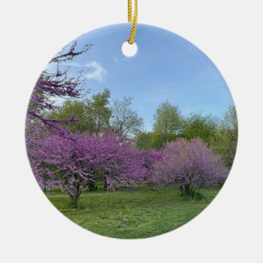 Paarse bomen Ornament (Voorkant)
