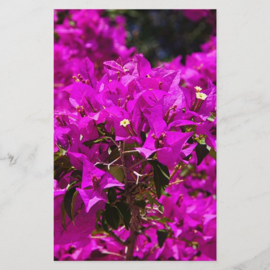 Paarse Bougainvillea bloemen Briefpapier (Voorkant)