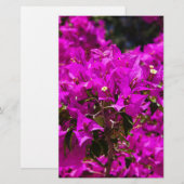 Paarse Bougainvillea bloemen Briefpapier (Voorkant / Achterkant)