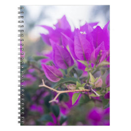 Paarse Bougainvillea Bloemen Notitieboek