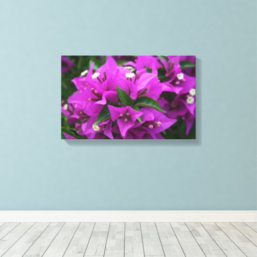 Paarse bougainvillea canvas afdruk (Insitu (Houten vloer))