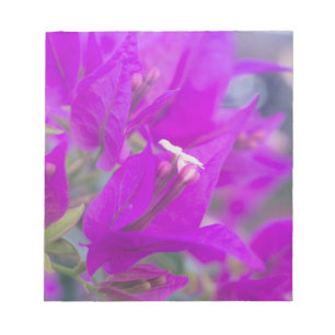 Paarse Bougainvillea Notitieblok