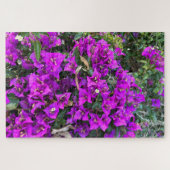 Paarse Bougainvillea, Oakland Legpuzzel (Horizontaal)