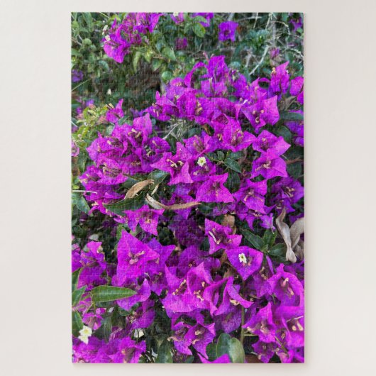 Paarse Bougainvillea, Oakland Legpuzzel (Verticaal)
