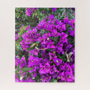 Paarse Bougainvillea, Oakland Legpuzzel