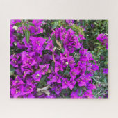 Paarse Bougainvillea, Oakland Legpuzzel (Horizontaal)