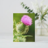 Paarse bull Thistle in Bloom Briefkaart (Staand voorkant)