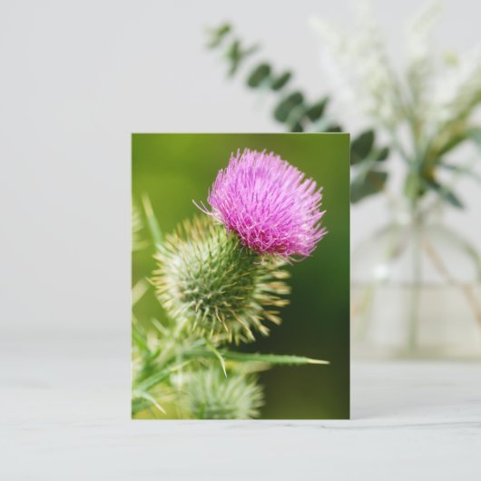 Paarse bull Thistle in Bloom Briefkaart (Staand voorkant)