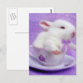 Paarse bundel joy briefkaart (Voorkant / Achterkant)