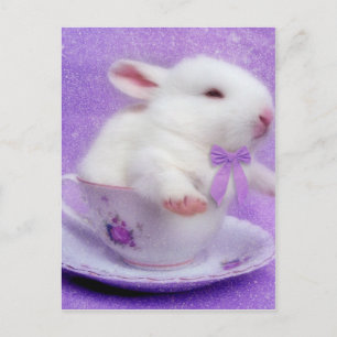 Paarse bundel joy briefkaart