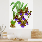  Paarse Burgundy Orchid Flower Poster (Keuken)