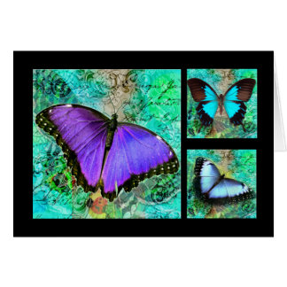 Paarse Butterflies