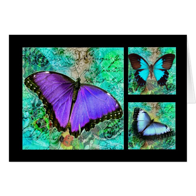 Paarse Butterflies (Voorkant Horizontaal)